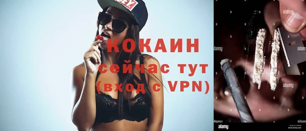тгк Михайлов