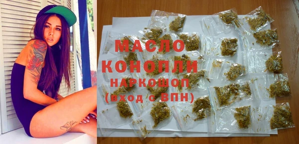 тгк Михайлов