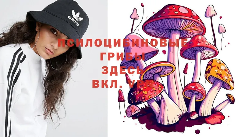 цены наркотик  Черногорск  Галлюциногенные грибы Cubensis 