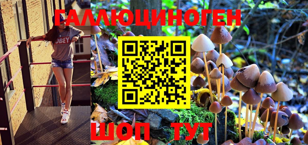 Галлюциногенные грибы ЛСД  Черногорск 