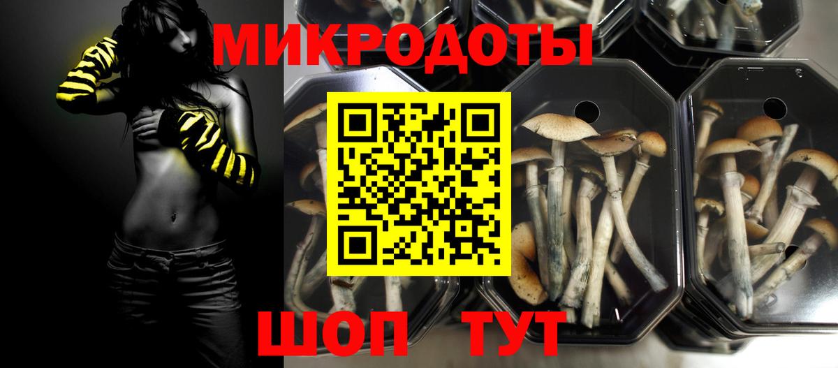 Галлюциногенные грибы MAGIC MUSHROOMS  купить   Галлюциногенные грибы мицелий  Черногорск  Вход с VPN 